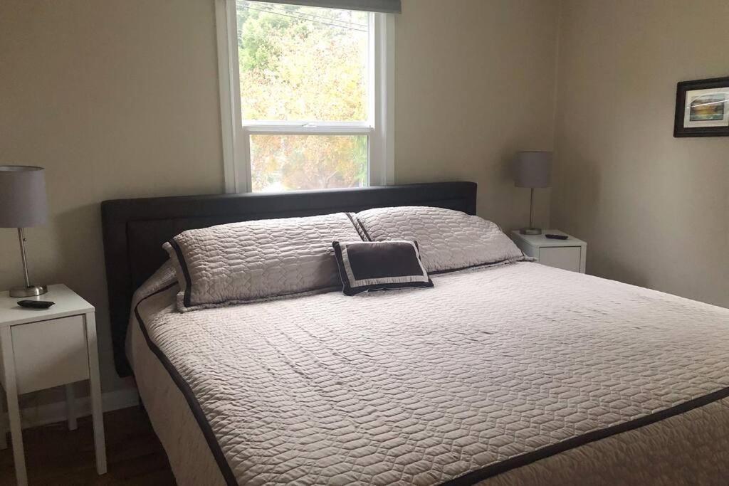 Cozy Crown Hill Carkeek Cottage W/3 Beds, Full Kitchen & Backyard In North Seattle Dış mekan fotoğraf
